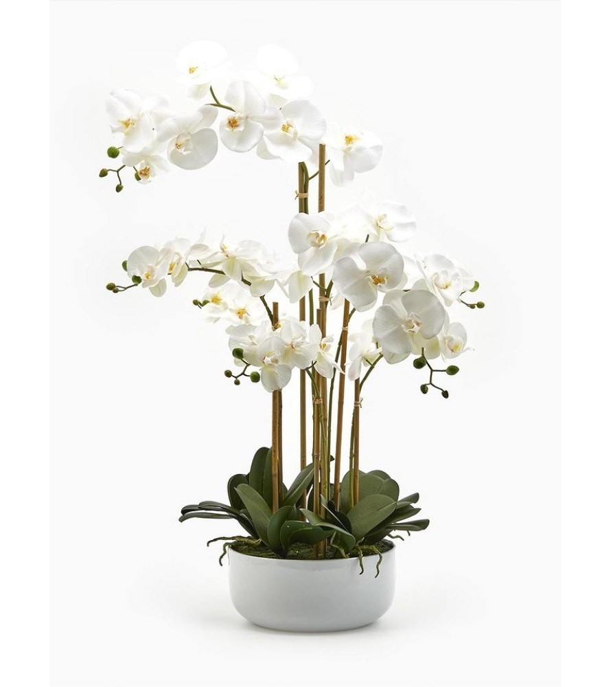 Pianta Artificiale Orchidea 7 Phalaenopsis EDG - Linea White