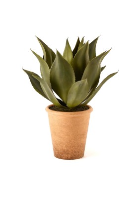 Sanseveria Piccola West Artificiale con Vaso h 70 cm, by EDG